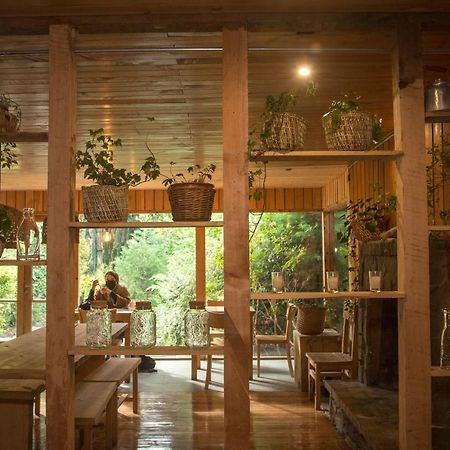 Raices Bed And Breakfast Coyhaique Ngoại thất bức ảnh