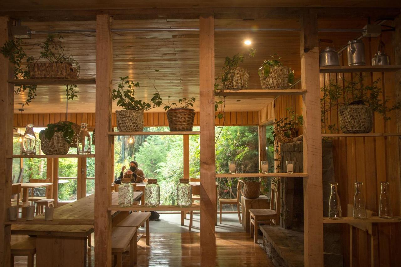 Raices Bed And Breakfast Coyhaique Ngoại thất bức ảnh
