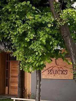 Raices Bed And Breakfast Coyhaique Ngoại thất bức ảnh