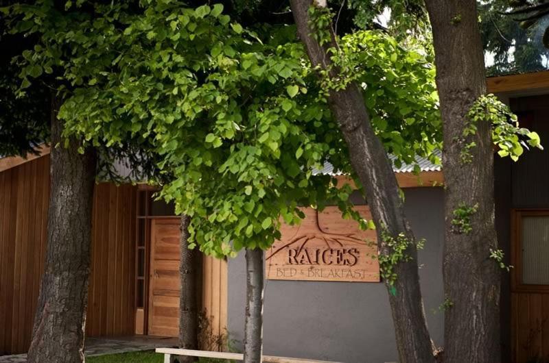 Raices Bed And Breakfast Coyhaique Ngoại thất bức ảnh